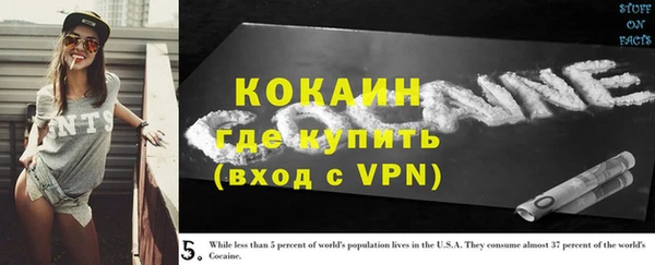 дживик Козловка