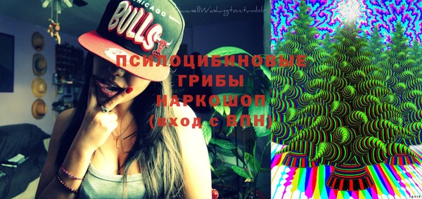 дживик Козловка