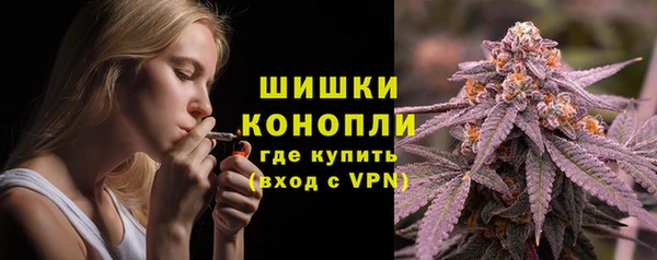дживик Козловка