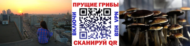 Псилоцибиновые грибы Psilocybine cubensis  хочу   Пушкино 