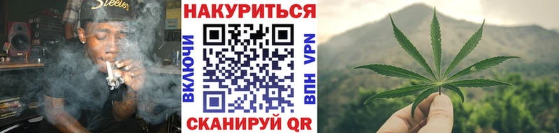 KRAKEN   Пушкино  Конопля SATIVA & INDICA 